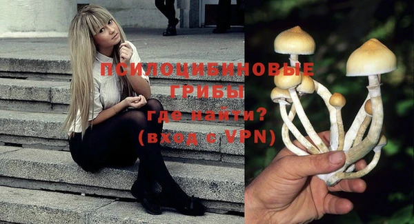 а пвп мука Белокуриха